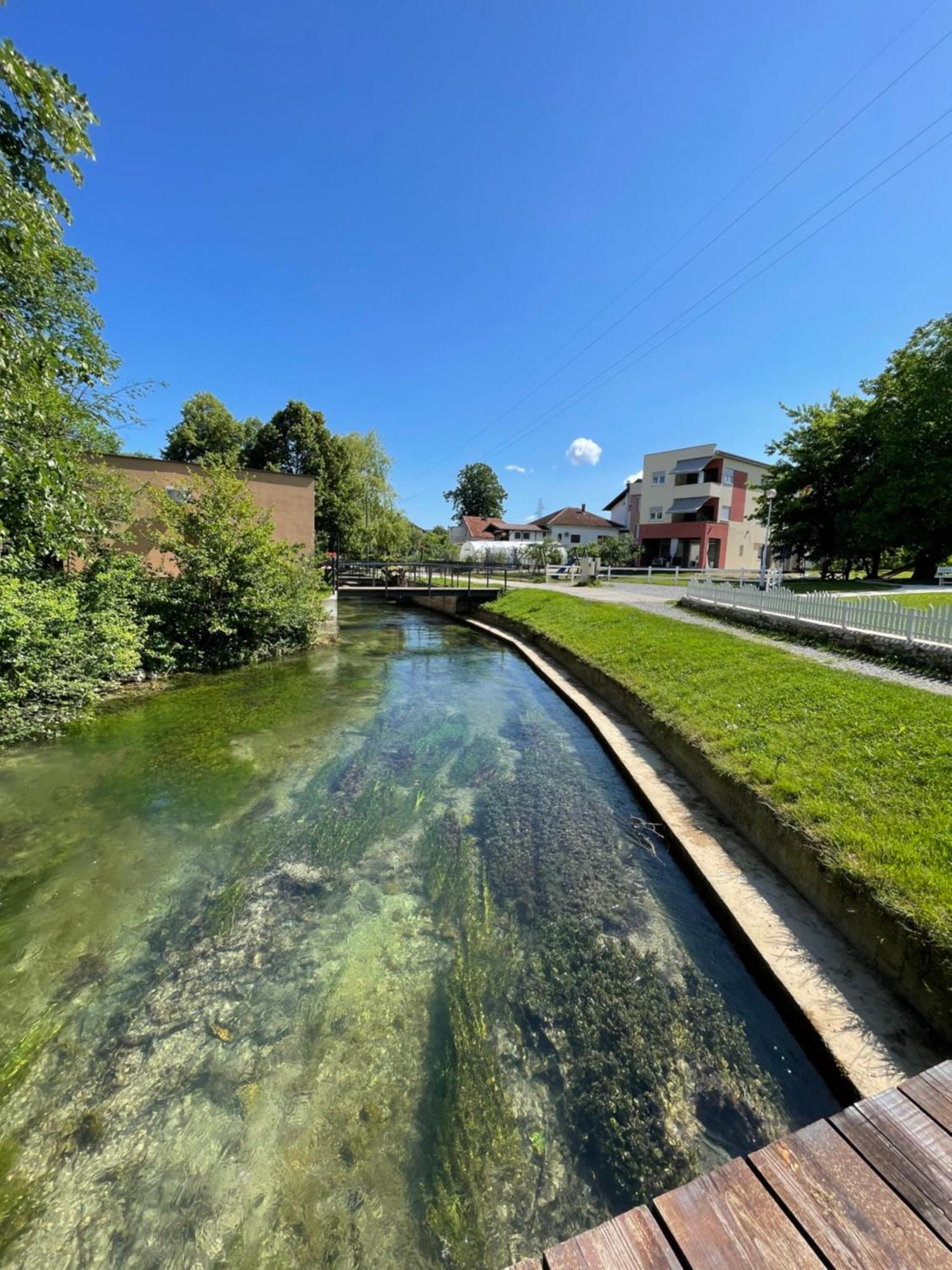 Apartment Vila Tara Bihać Zewnętrze zdjęcie