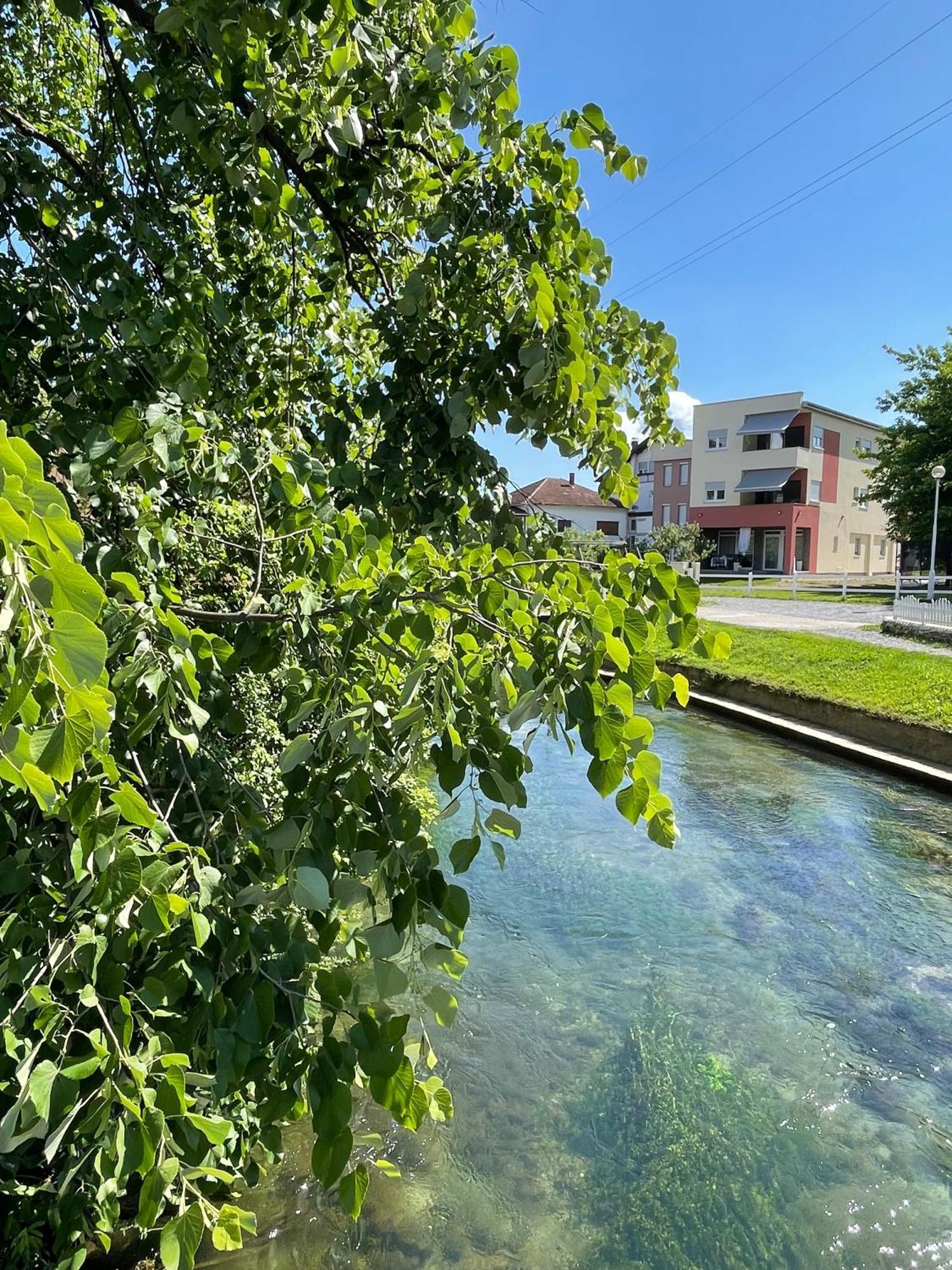 Apartment Vila Tara Bihać Zewnętrze zdjęcie